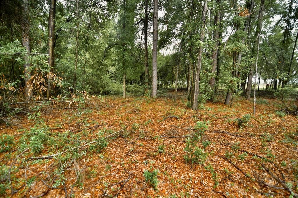 待售: $79,000 (4.00 acres)