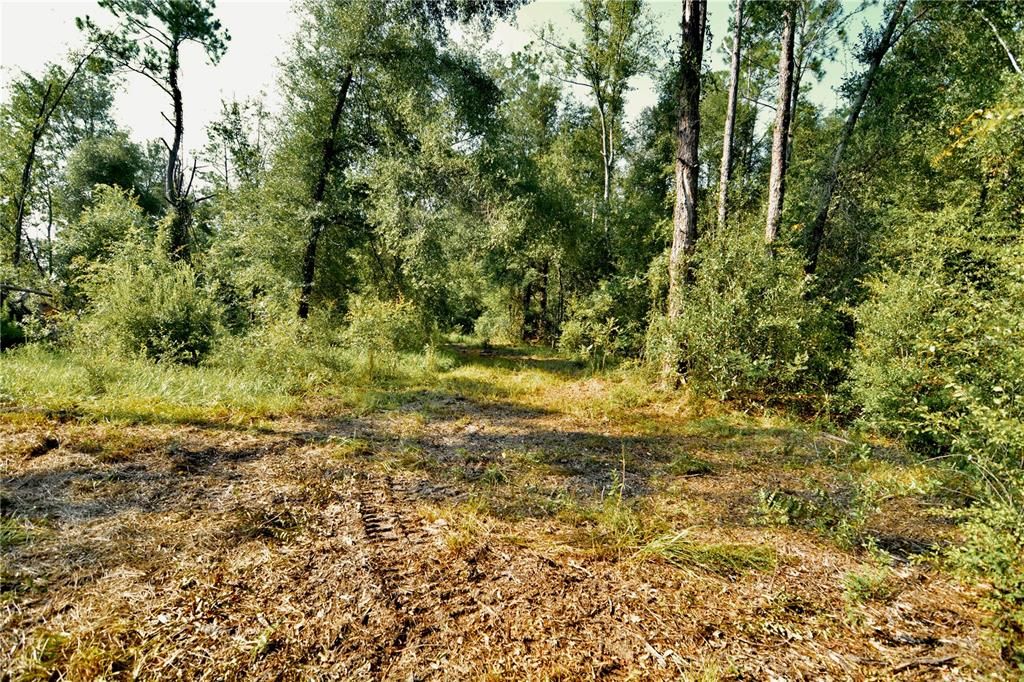 待售: $79,000 (4.00 acres)