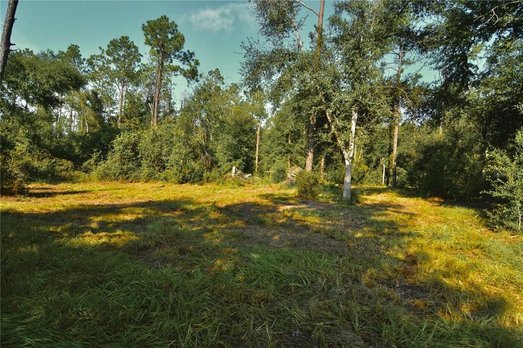 待售: $79,000 (4.00 acres)