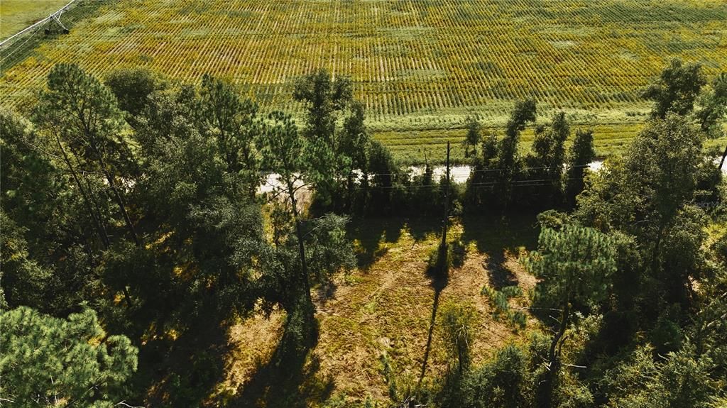 待售: $79,000 (4.00 acres)