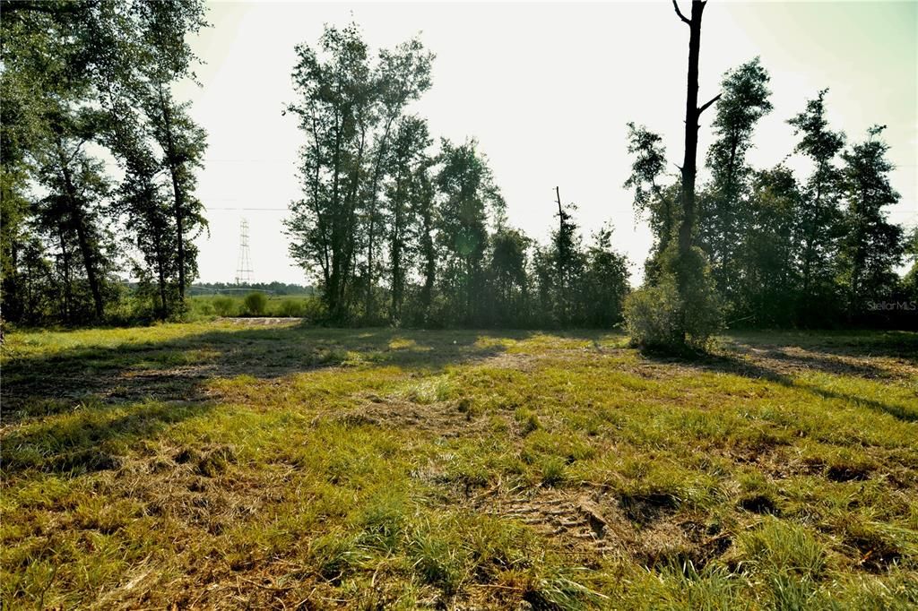 待售: $79,000 (4.00 acres)