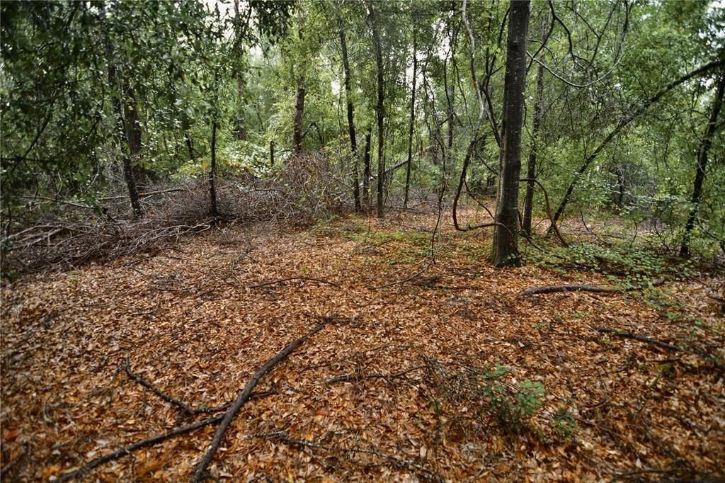 待售: $79,000 (4.00 acres)