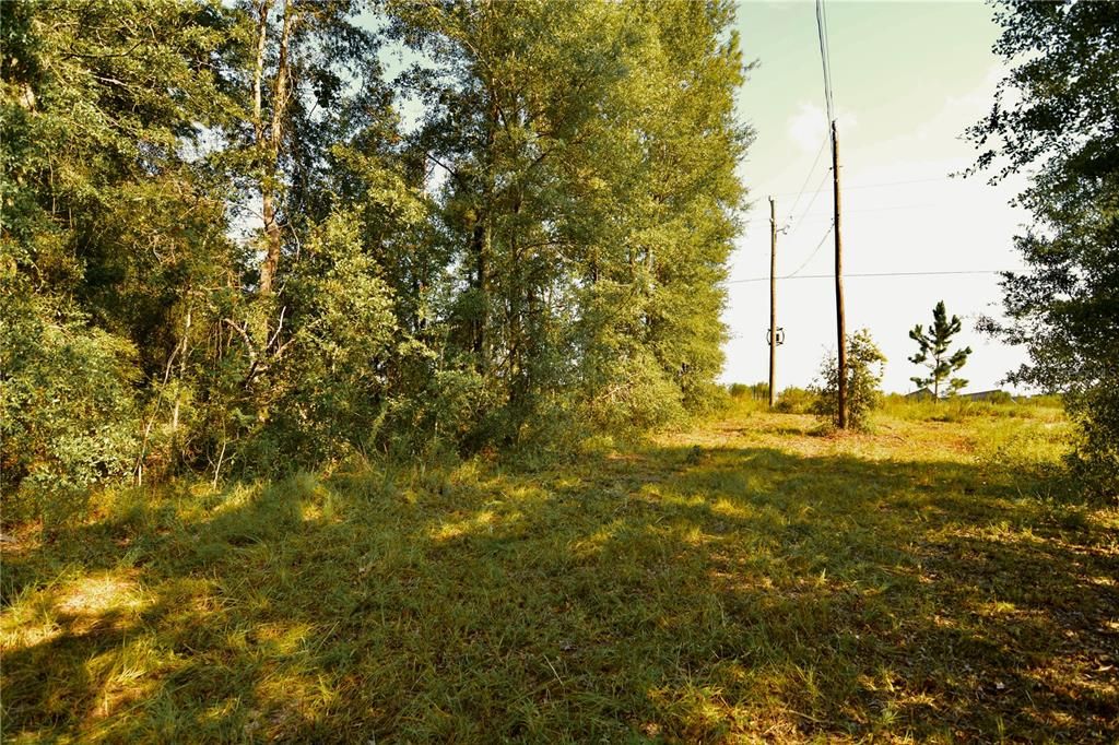 待售: $79,000 (4.00 acres)
