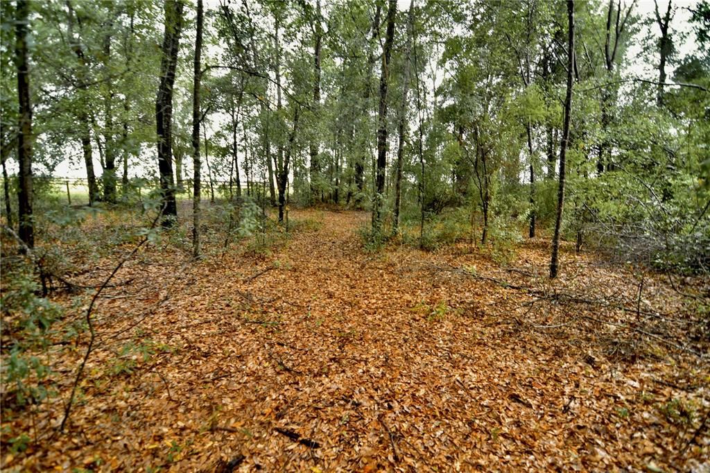 待售: $79,000 (4.00 acres)