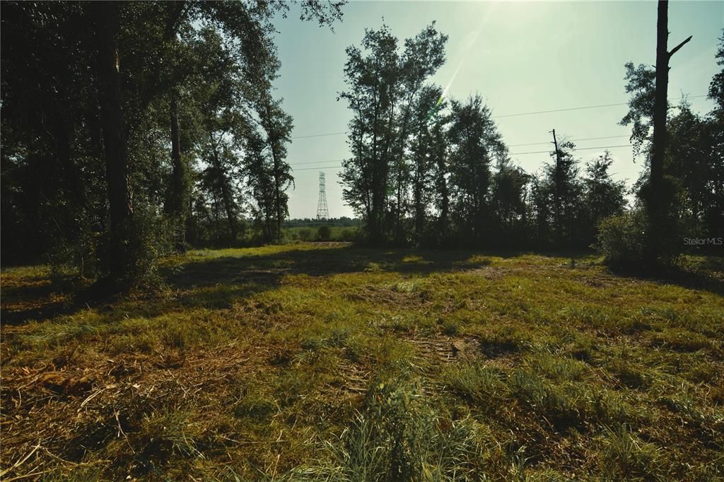 待售: $79,000 (4.00 acres)