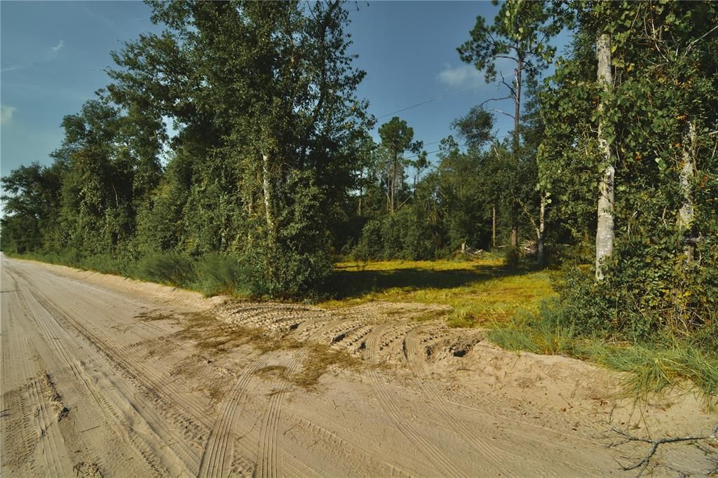 待售: $79,000 (4.00 acres)