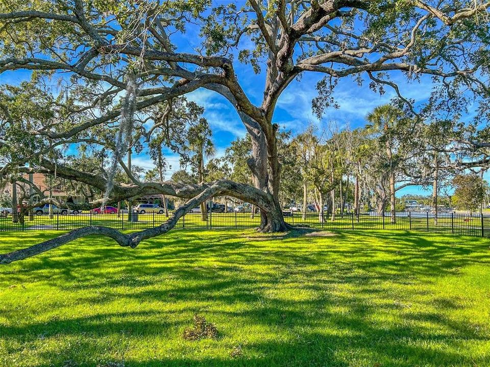 For Rent: $2,600 (3 beds, 2 baths, 1793 Square Feet)