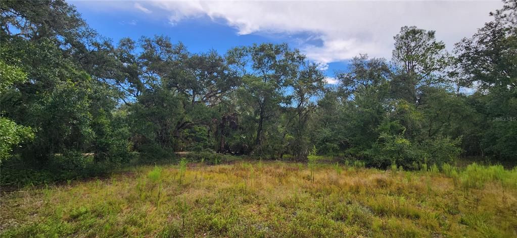 На продажу: $39,900 (0.34 acres)