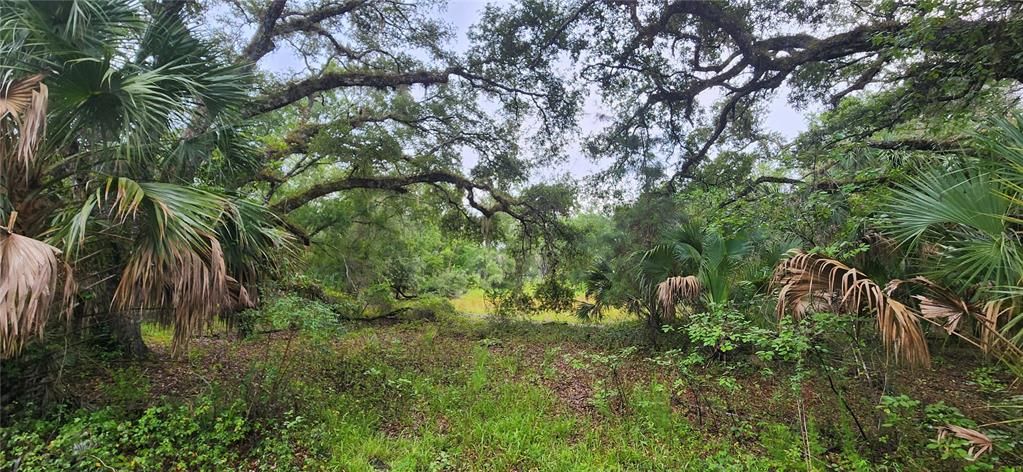 На продажу: $39,900 (0.34 acres)