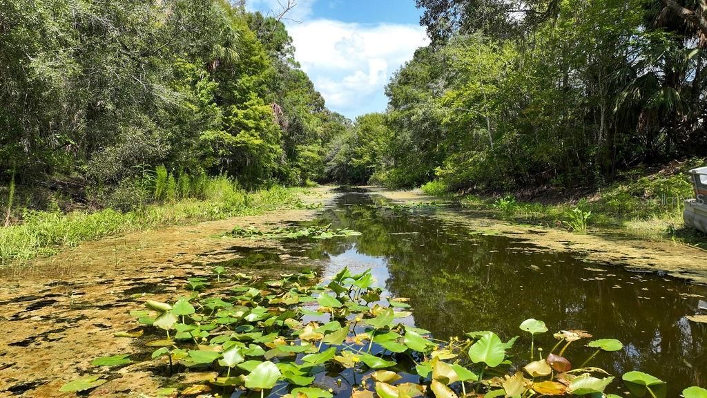 На продажу: $39,900 (0.34 acres)