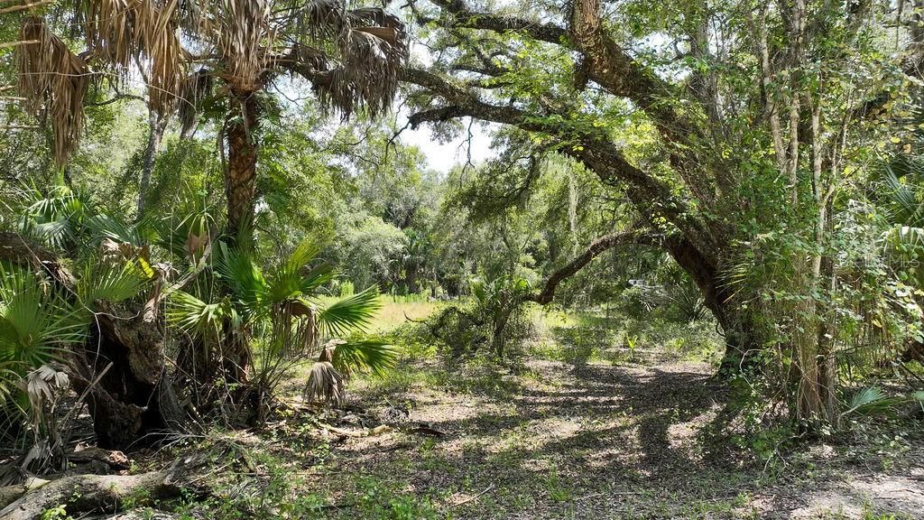 На продажу: $39,900 (0.34 acres)