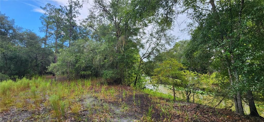 На продажу: $39,900 (0.34 acres)