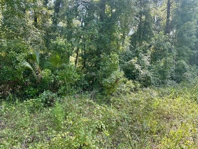 For Sale: $35,000 (2.91 acres)