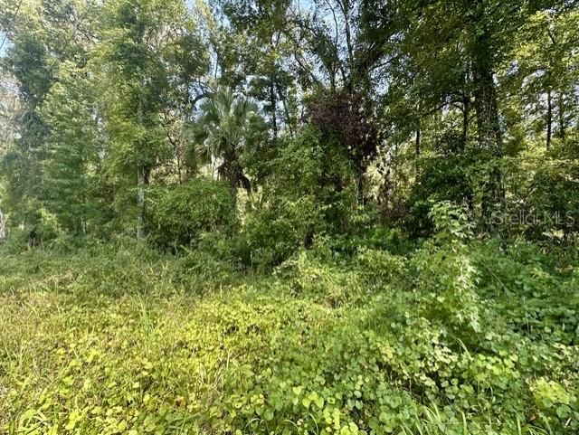 For Sale: $35,000 (2.91 acres)