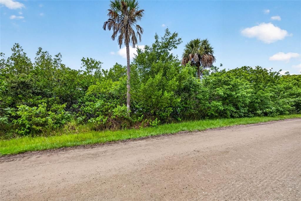For Sale: $380,000 (0.73 acres)