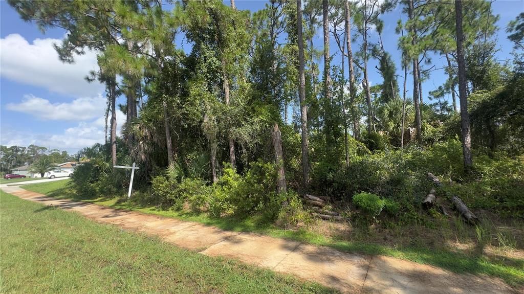 For Sale: $22,000 (0.23 acres)