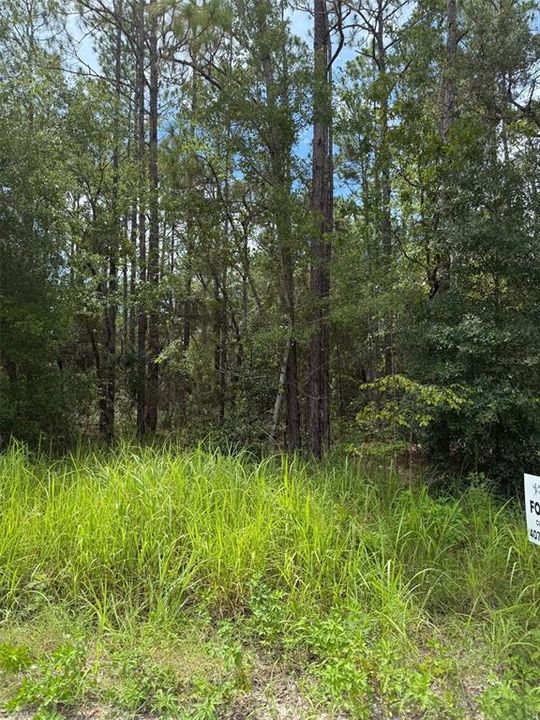 En Venta: $55,000 (1.64 acres)