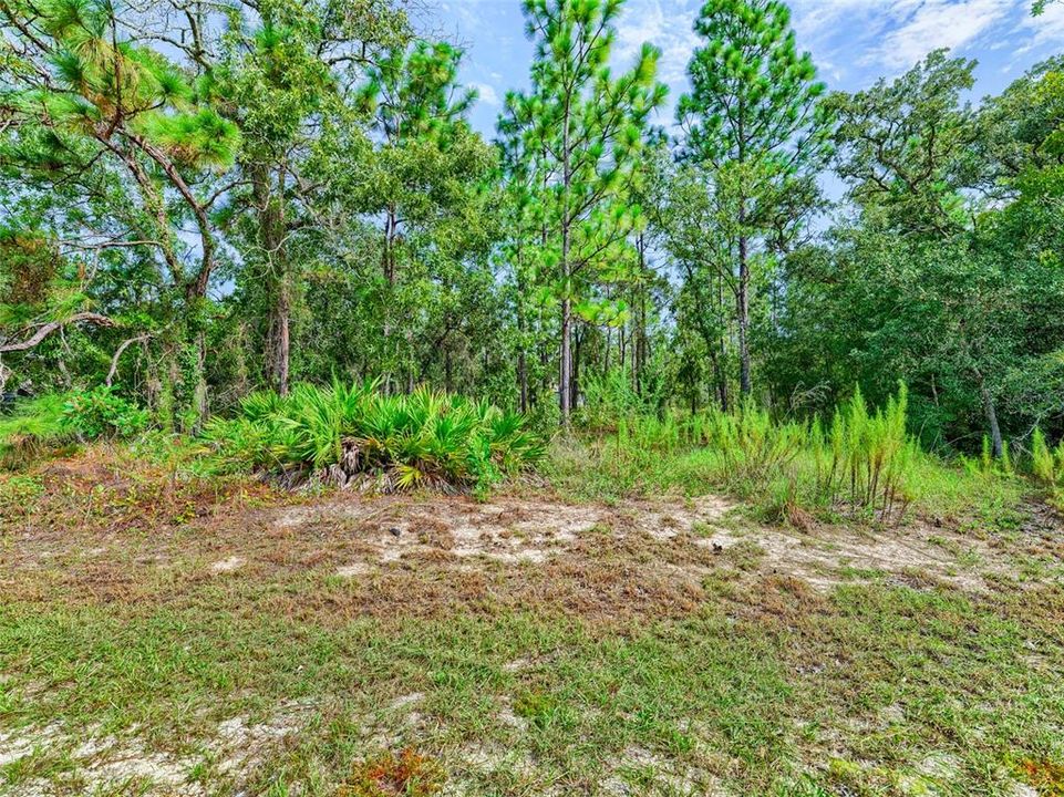 待售: $39,000 (0.46 acres)