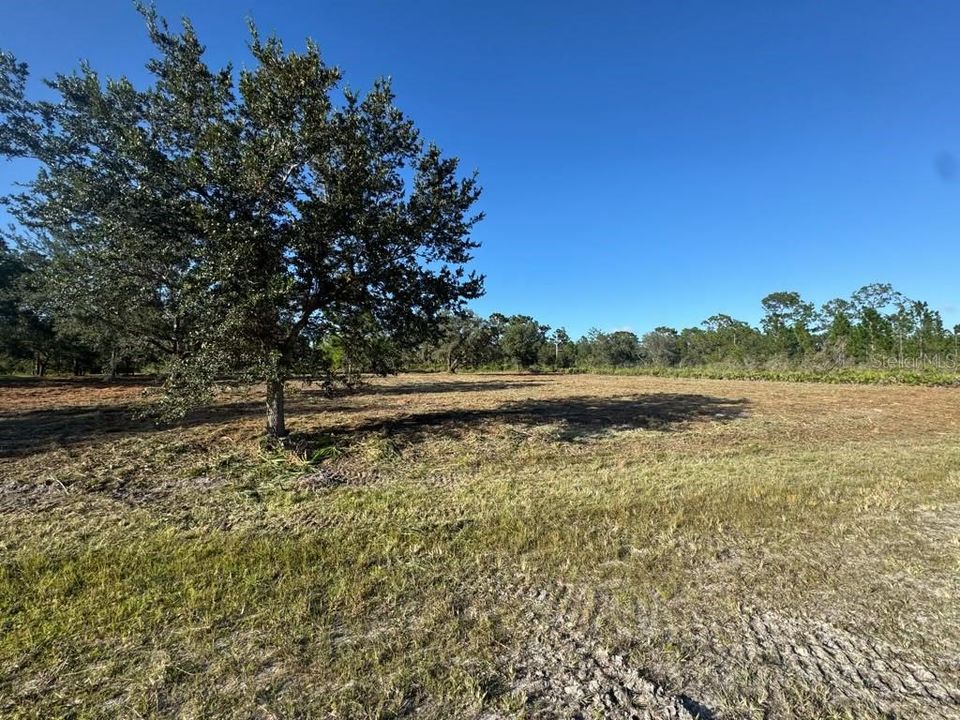 На продажу: $45,000 (1.10 acres)