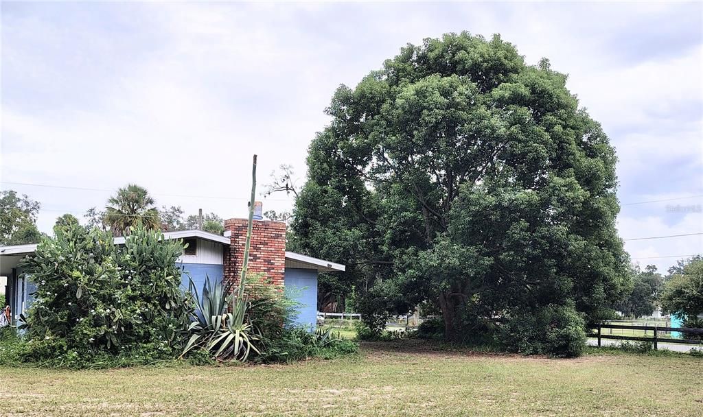 For Sale: $230,000 (3 beds, 1 baths, 1404 Square Feet)