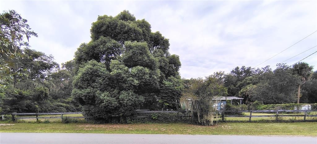 For Sale: $230,000 (3 beds, 1 baths, 1404 Square Feet)