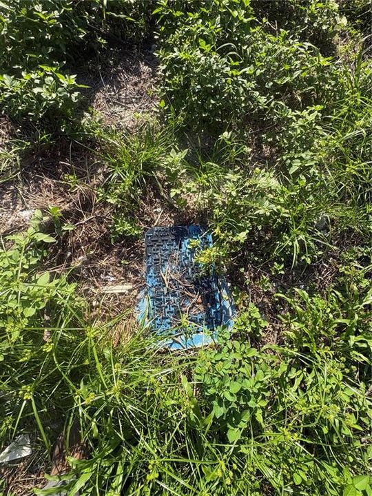 待售: $130,000 (0.11 acres)