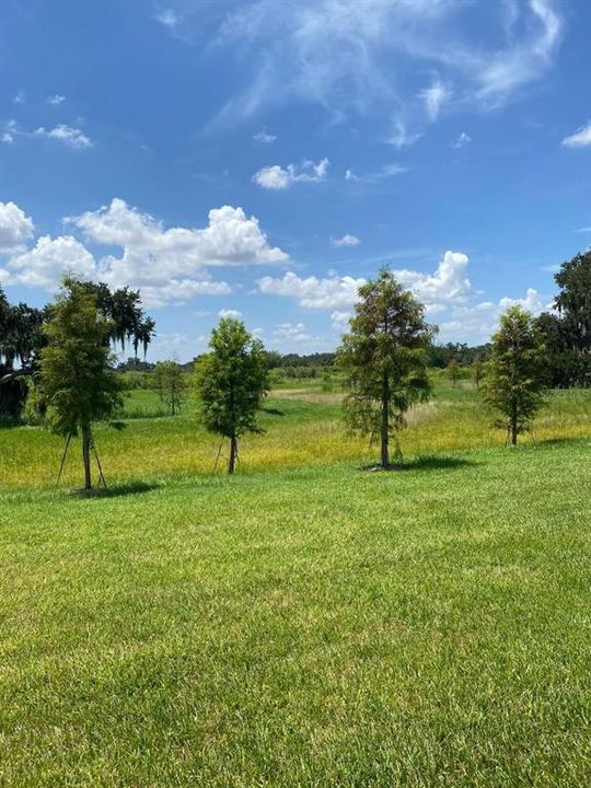 For Rent: $2,450 (3 beds, 2 baths, 1565 Square Feet)