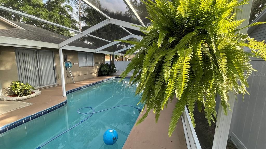 En Venta: $410,000 (3 camas, 2 baños, 1484 Pies cuadrados)