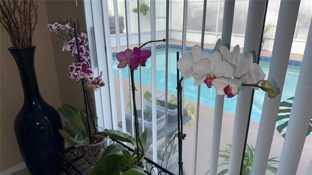 En Venta: $410,000 (3 camas, 2 baños, 1484 Pies cuadrados)