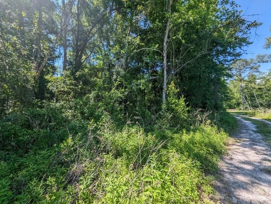 待售: $28,000 (0.25 acres)