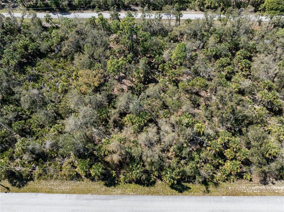 En Venta: $79,900 (0.46 acres)