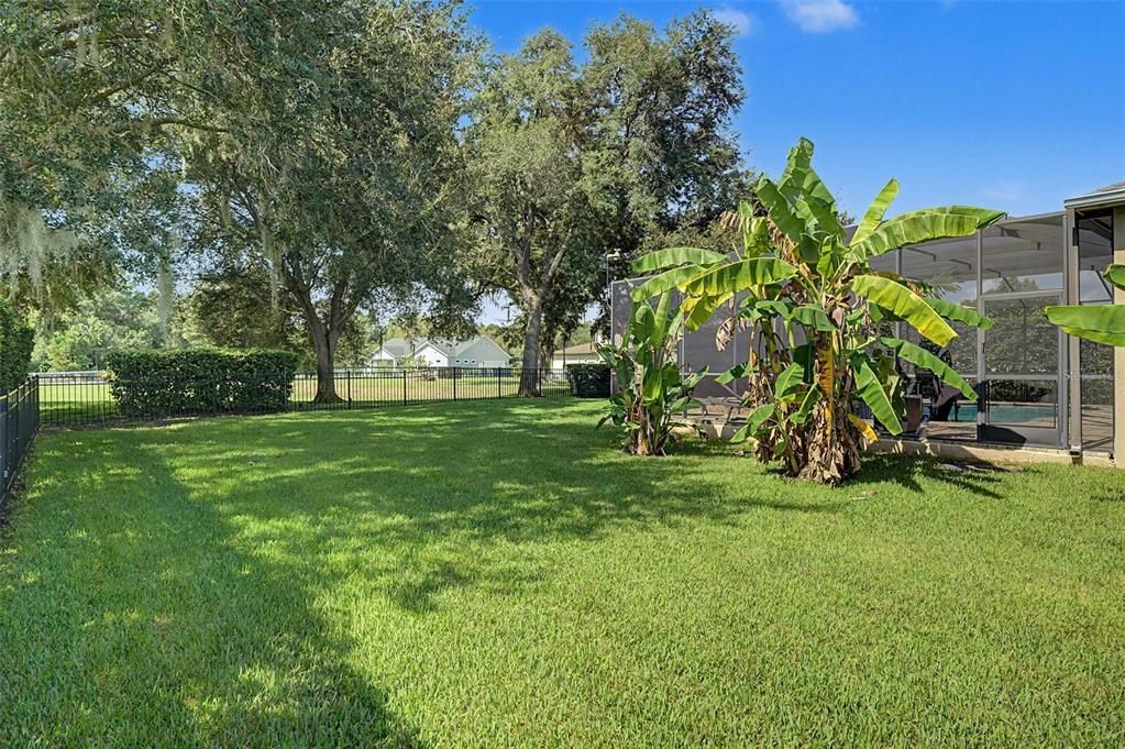 En Venta: $925,000 (4 camas, 3 baños, 3494 Pies cuadrados)