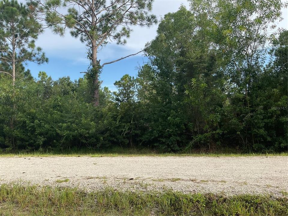 待售: $12,000 (0.17 acres)