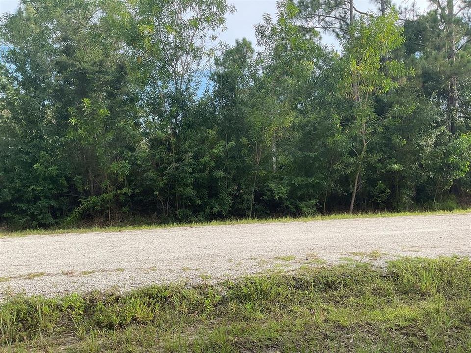 待售: $12,000 (0.17 acres)