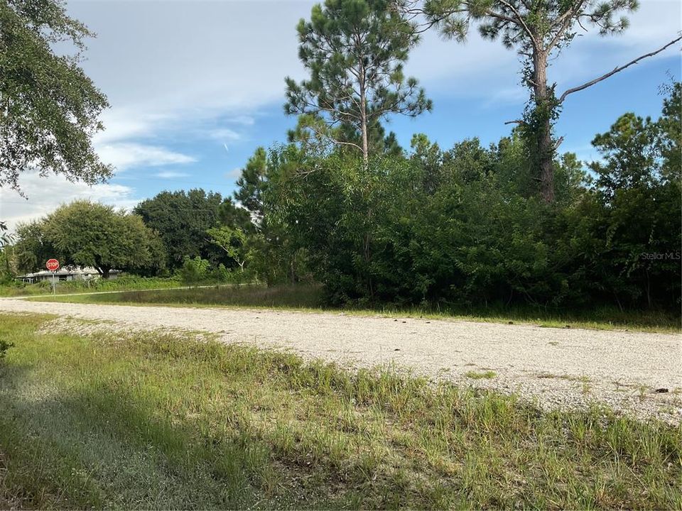 待售: $12,000 (0.17 acres)