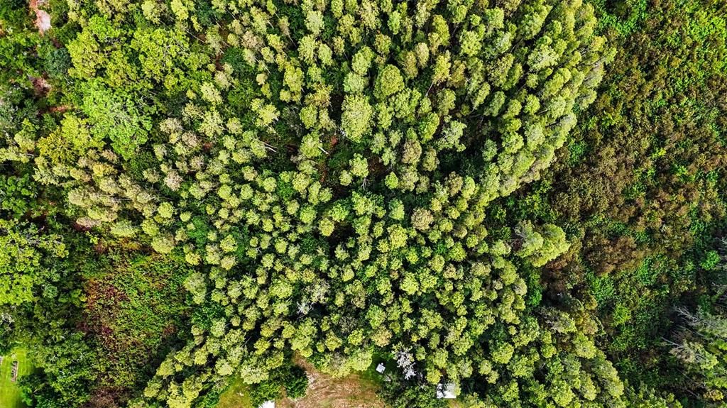 待售: $100,000 (0.57 acres)