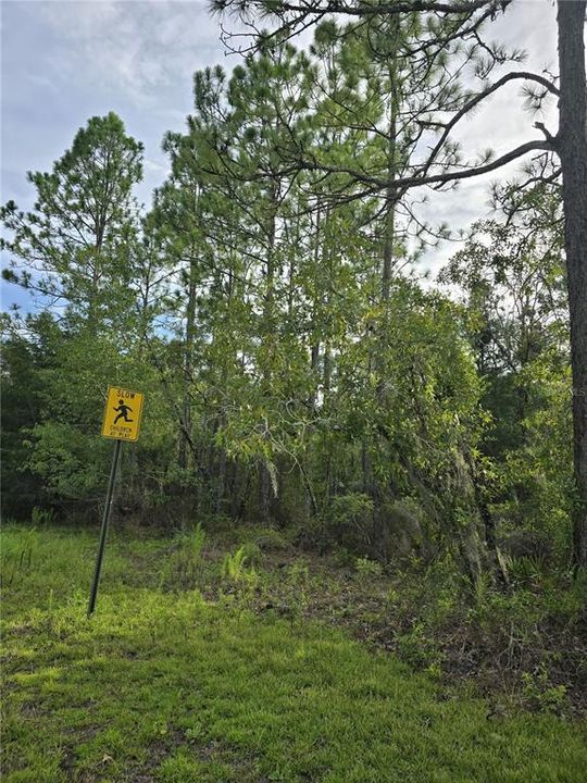 For Sale: $30,500 (1.00 acres)