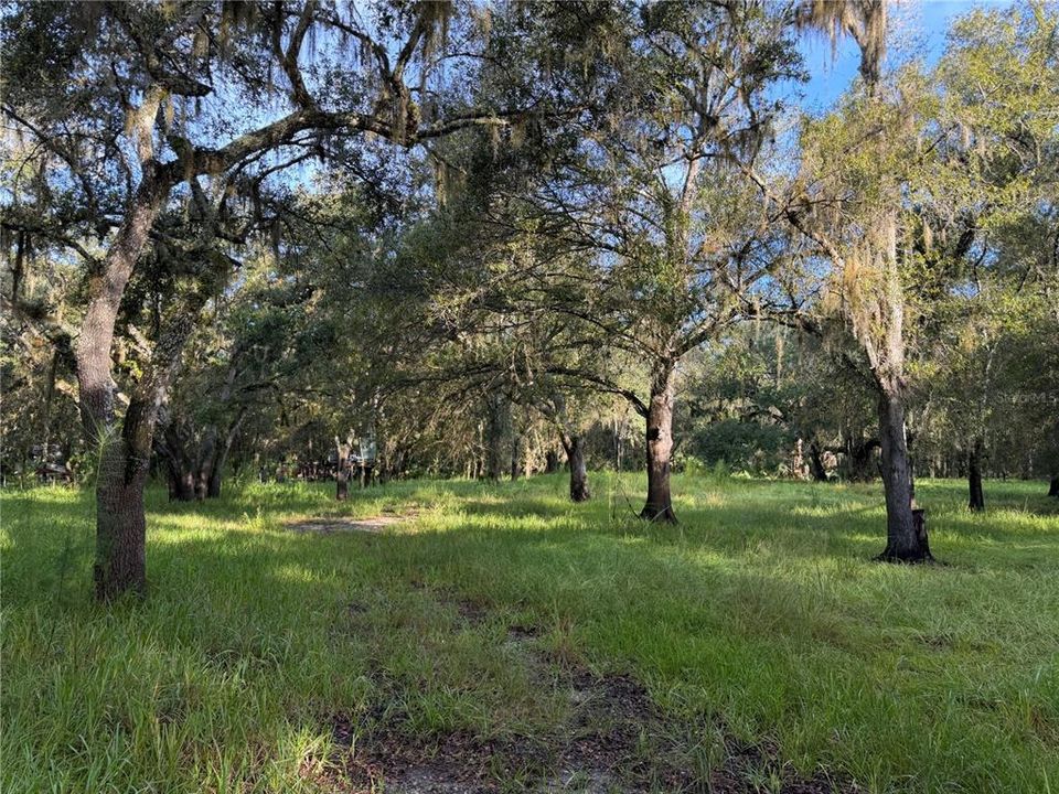 На продажу: $55,000 (1.20 acres)