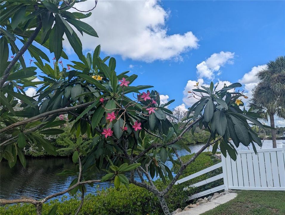 En Venta: $877,000 (3 camas, 3 baños, 1928 Pies cuadrados)