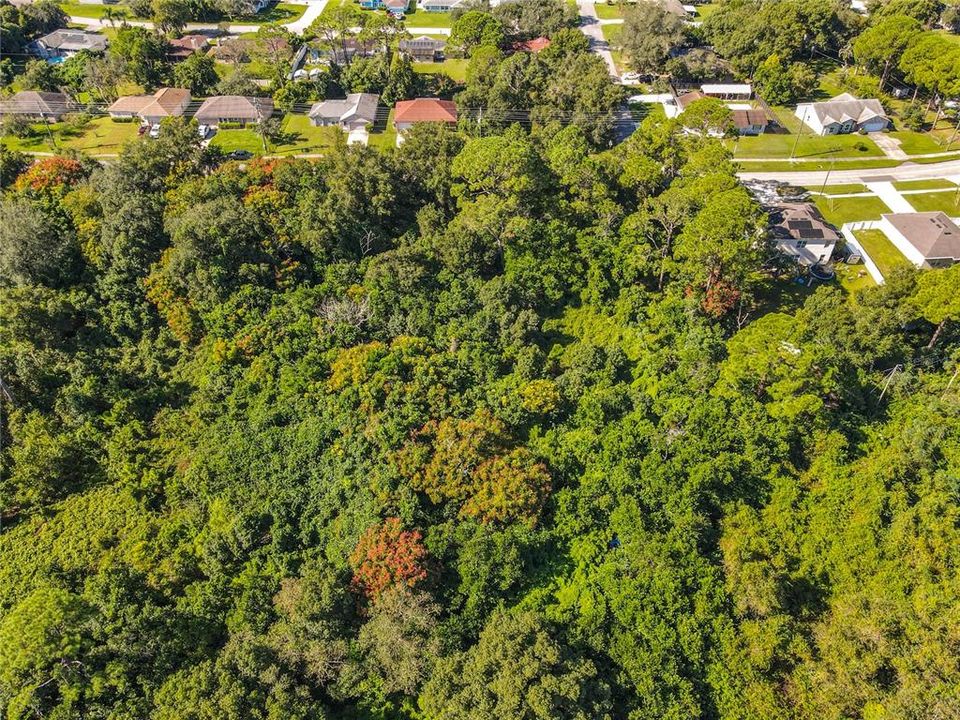 待售: $42,000 (0.31 acres)