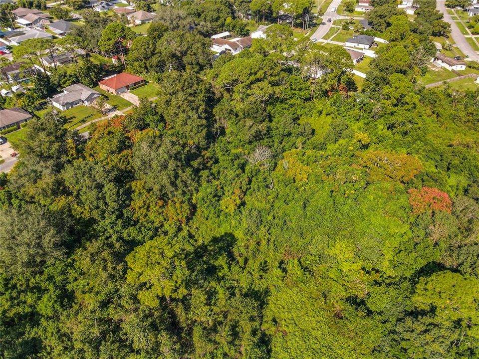 待售: $42,000 (0.31 acres)
