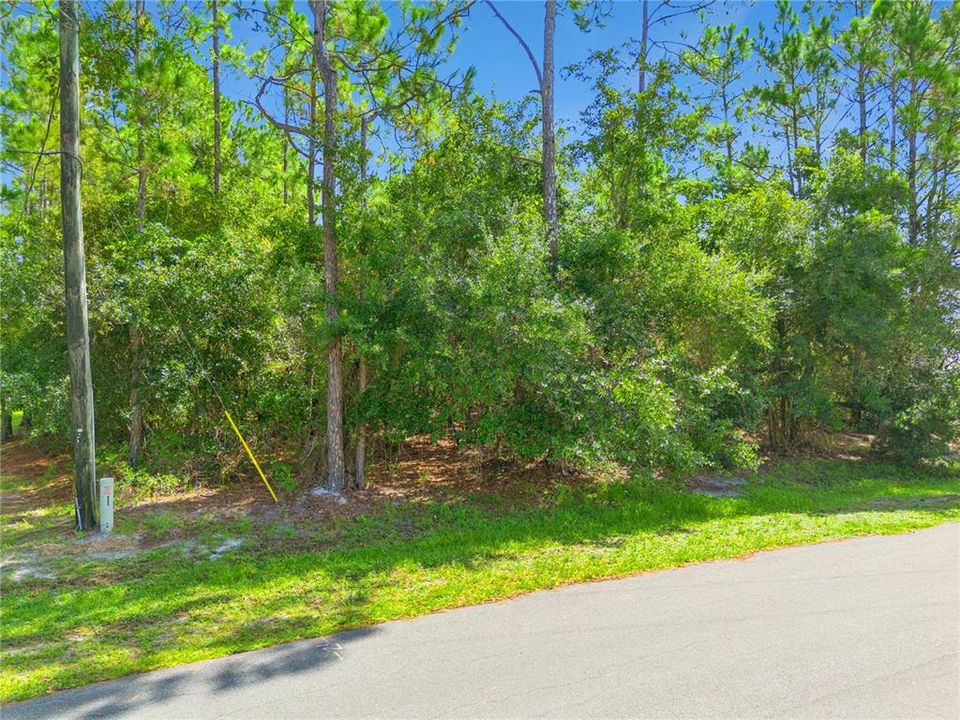For Sale: $350,000 (5.26 acres)