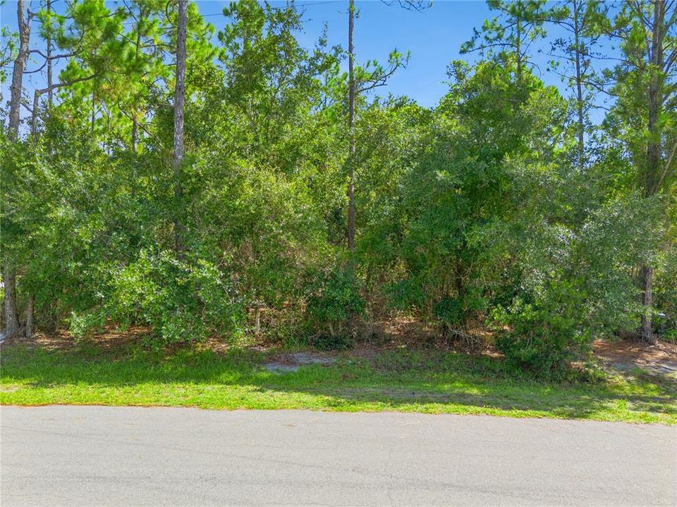 For Sale: $350,000 (5.26 acres)