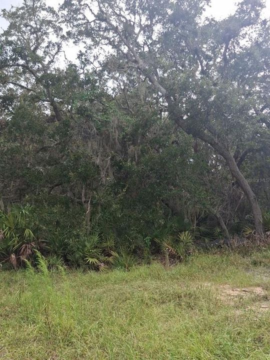 En Venta: $96,900 (0.77 acres)