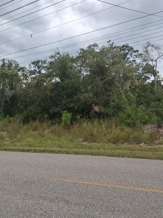 En Venta: $96,900 (0.77 acres)