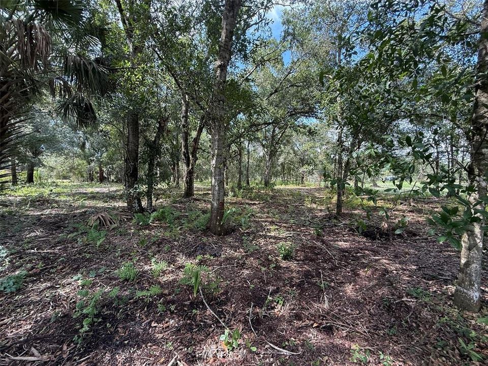 待售: $359,900 (3.99 acres)
