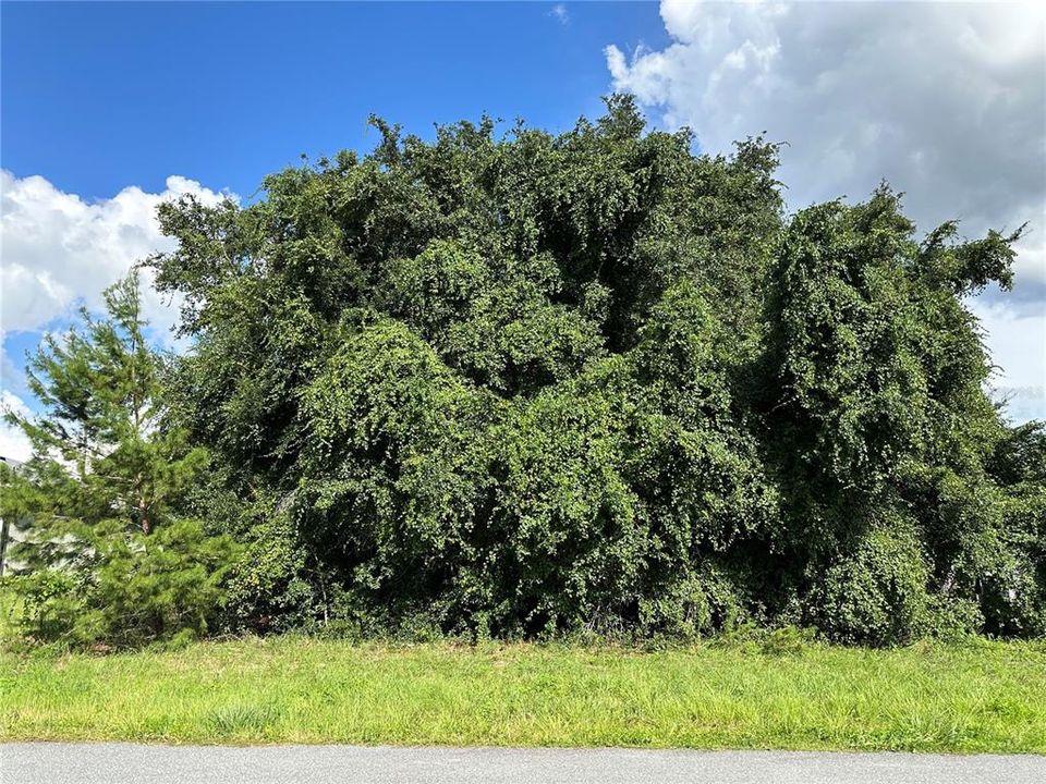 For Sale: $48,000 (0.23 acres)