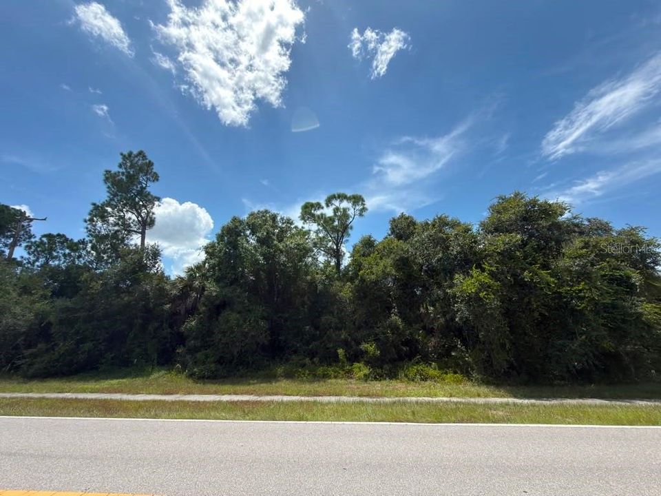 For Sale: $23,890 (0.22 acres)