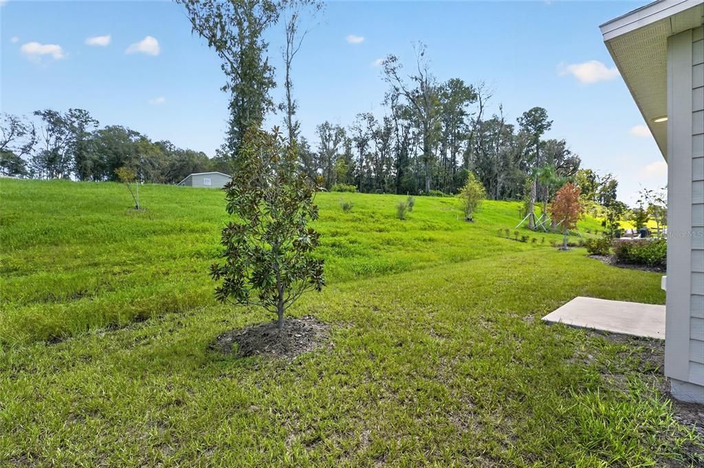 For Sale: $314,999 (4 beds, 2 baths, 1815 Square Feet)