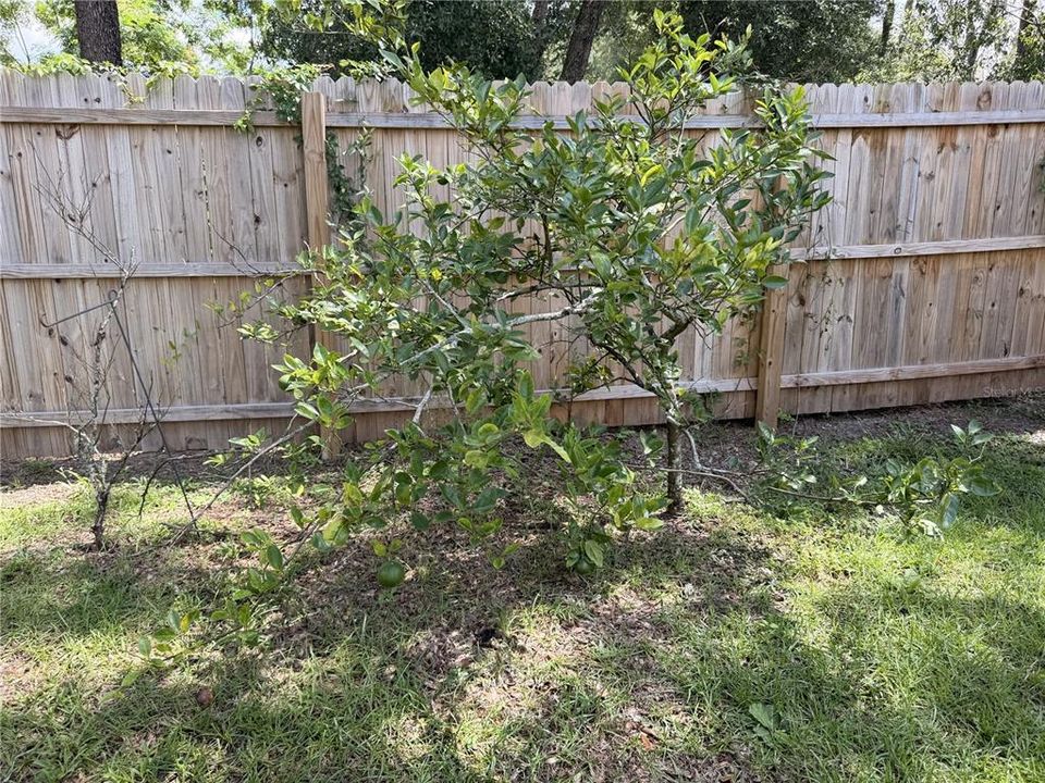 For Sale: $268,900 (3 beds, 2 baths, 1075 Square Feet)
